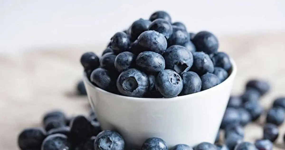 Love Blueberries? Doctors Say You Should Know This First