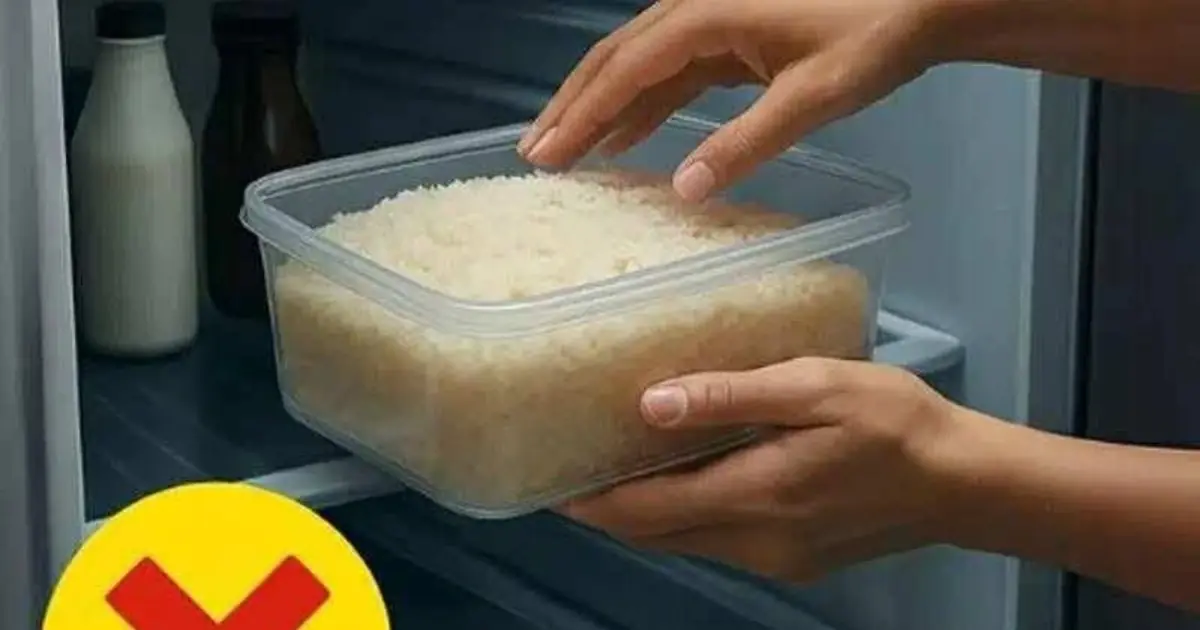 Never Store Cooked Rice in the Fridge Without Knowing This: The Hidden Food Safety Risk