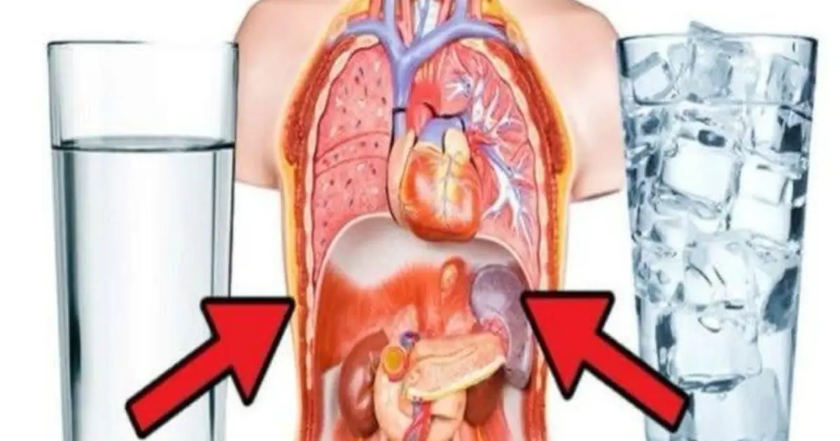 Cold Water vs. Warm Water: Is One Really Harmful to Your Health?