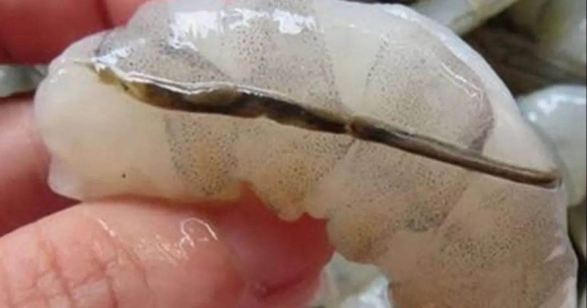 What Is the “Black Vein” of a Shrimp—and What Happens If You Eat It?