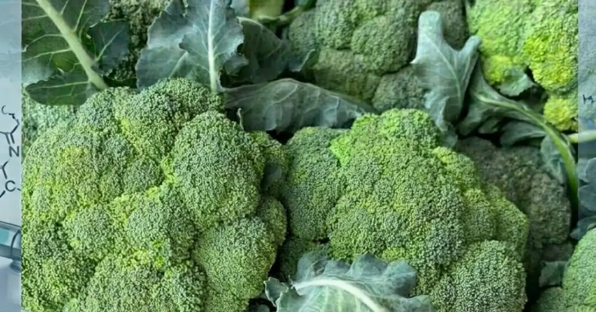 Doctors reveal that green broccoli causes ... ....