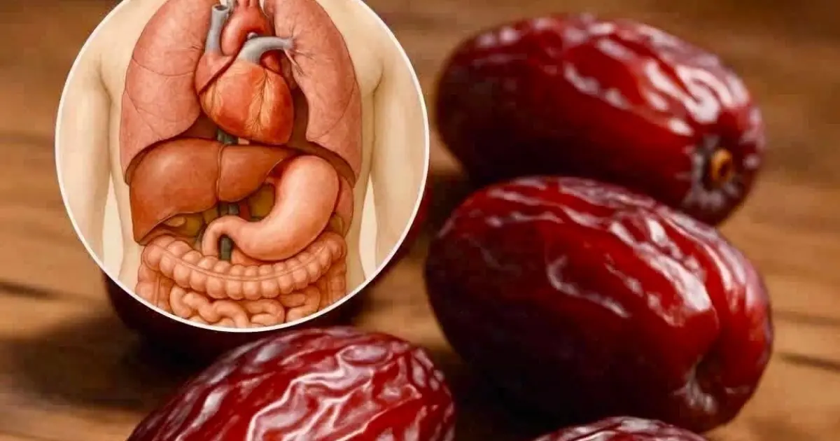 What Happens When You Eat 3 Dates a Day? The Truth About This Nutrient-Rich Fruit