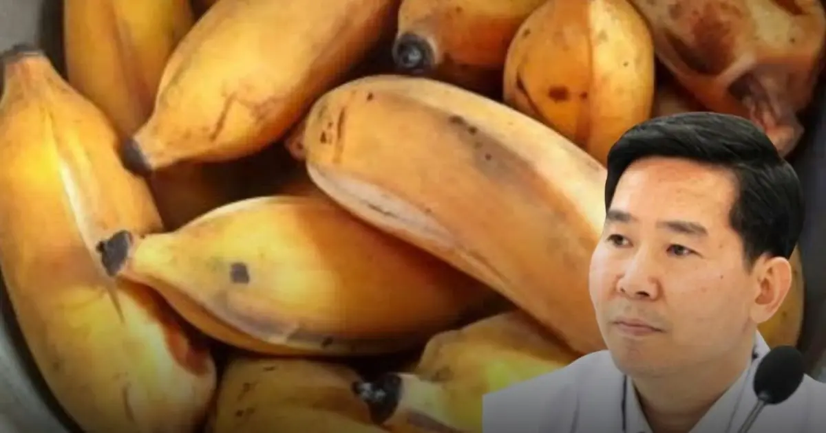 Doctors Reveal: After Age 60, If You Still Eat Bananas Every Day, This Is What Happens To Your Body...