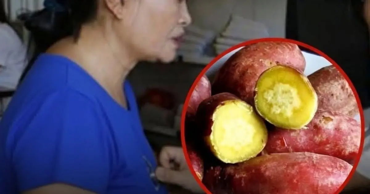 64-Year-Old Woman Ate A Boiled Sweet Potato Every Morning For A Year. She Was Surprised By What Doctors Found