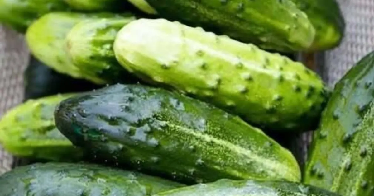 Doctors reveal that eating cucumber in salads causes... See more
