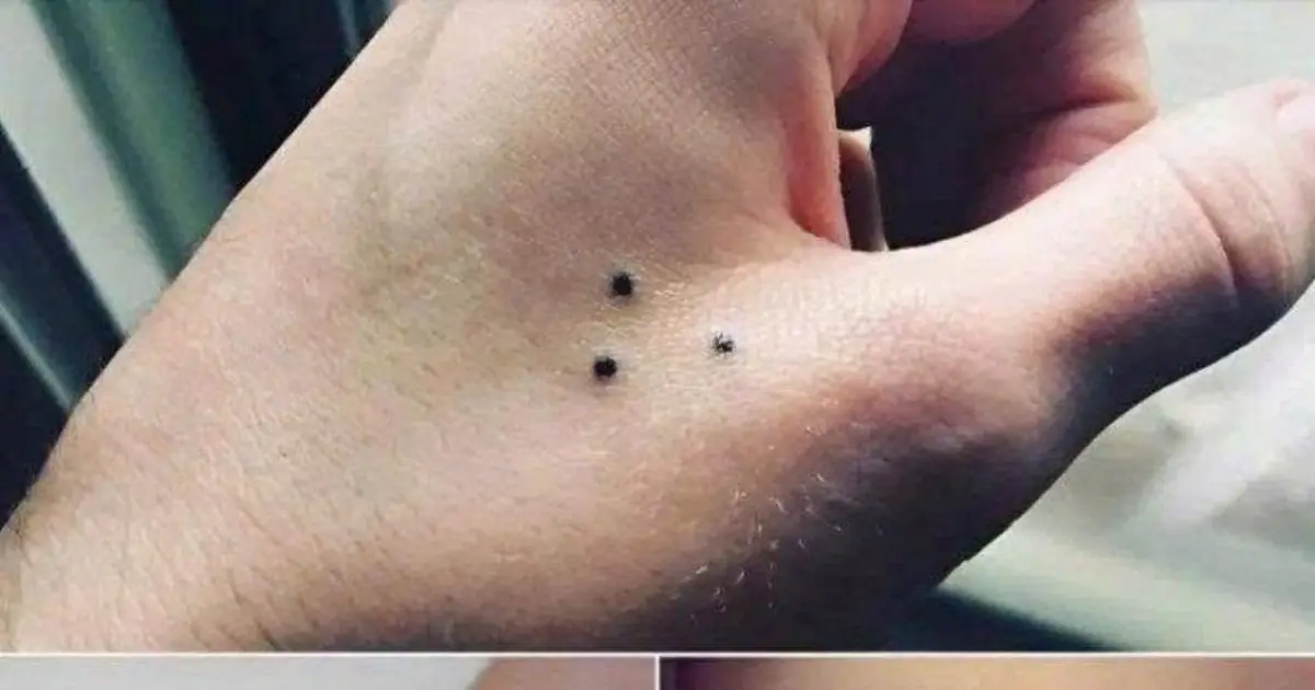 If you see someone with a three-point tattoo, run as far as you can...see more