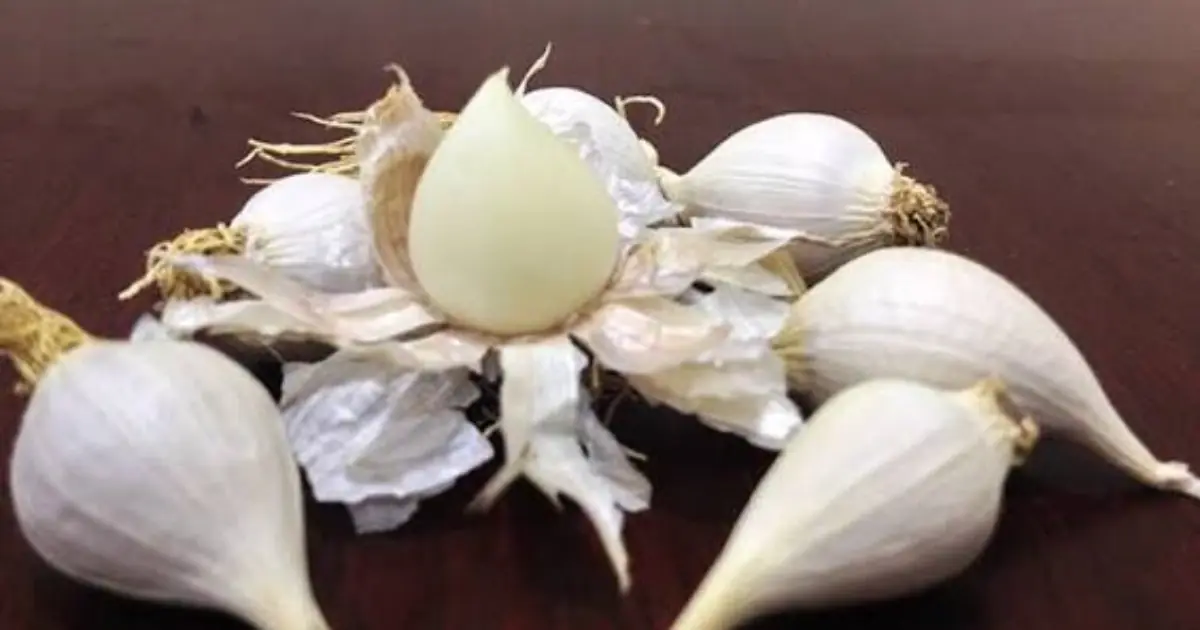 A 58-Year-Old Ate One Raw Garlic Clove Every Morning for 6 Months - What Happened to His Body May Surprise You