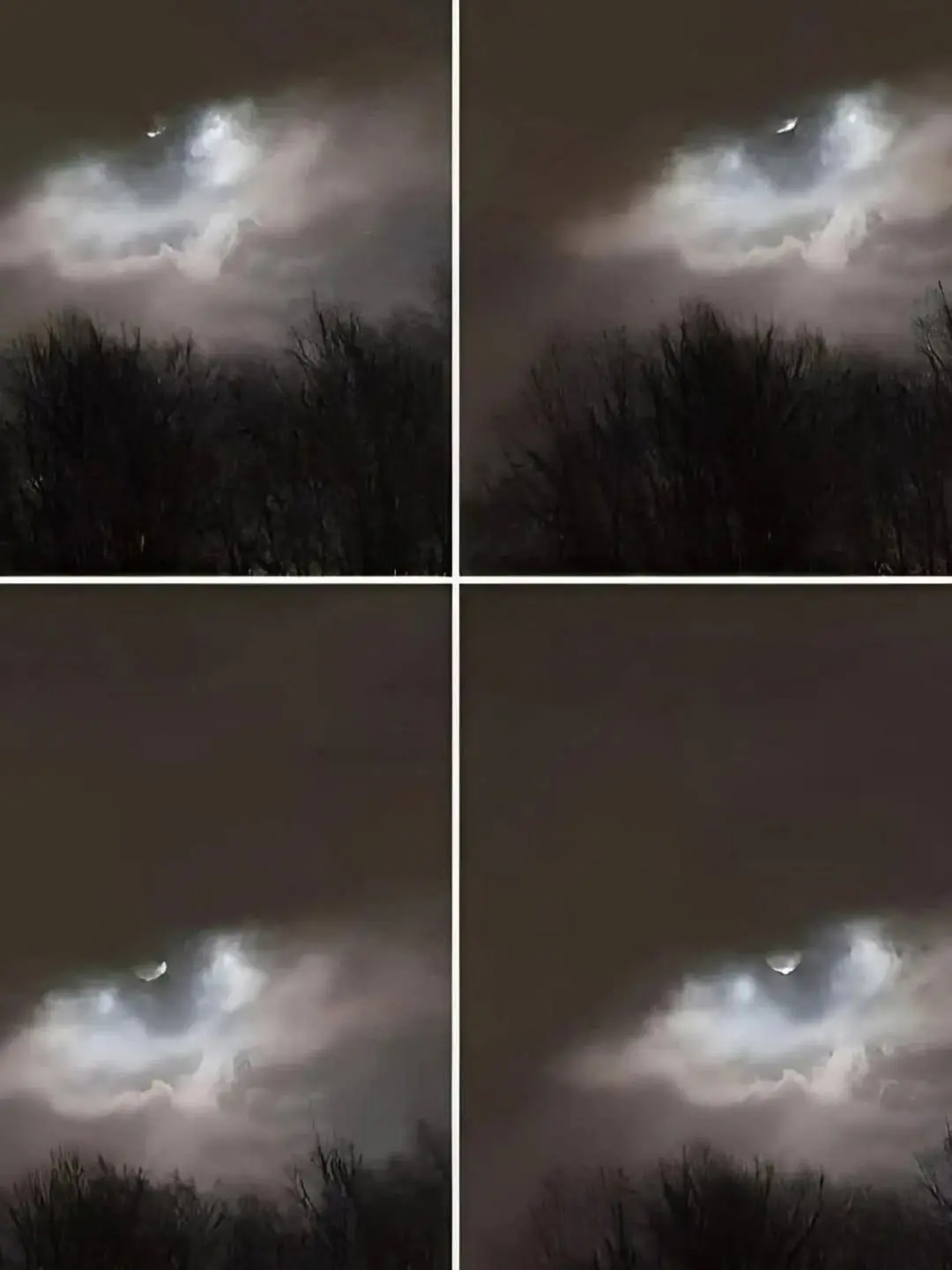 My Brother Took This Photo Just 21 Kilometers From Our Home — But Almost Everyone Missed the Strange Detail