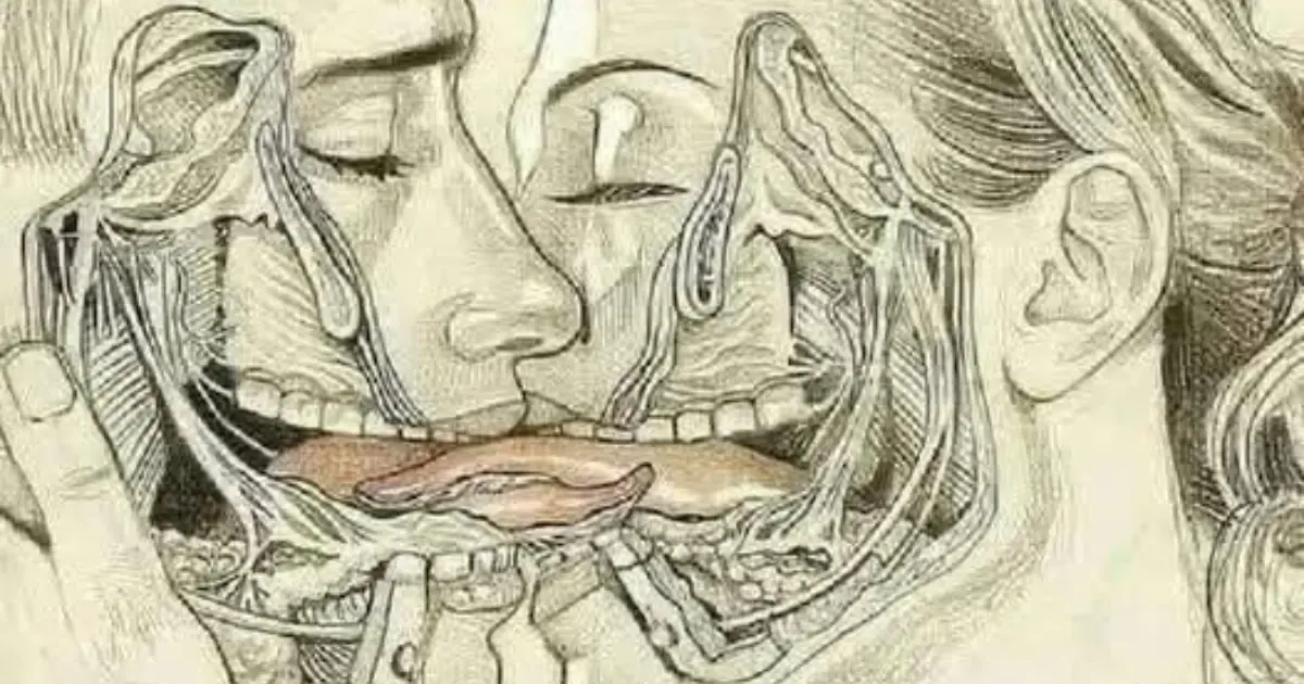 WHAT HAPPENS WHEN WE TONGUE KISS…See more 👇👇