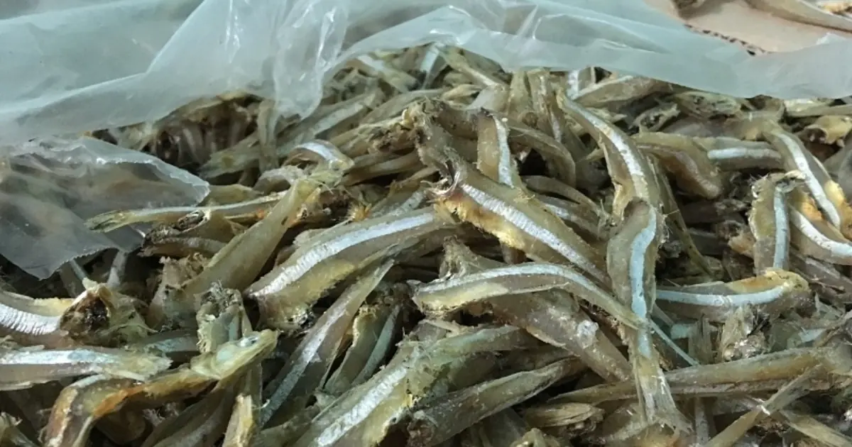 We Thought Dad’s Bag Held Only Dried Fish - Then We Looked Inside