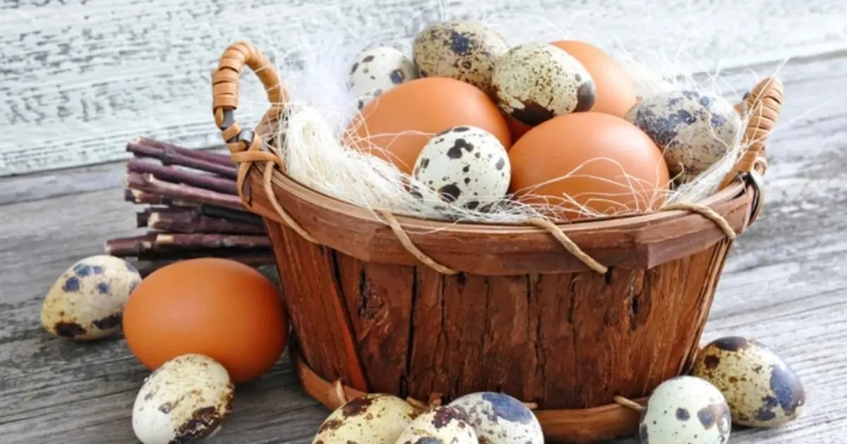 Are All Eggs the Same? 5 Types You May Want to Think Twice About