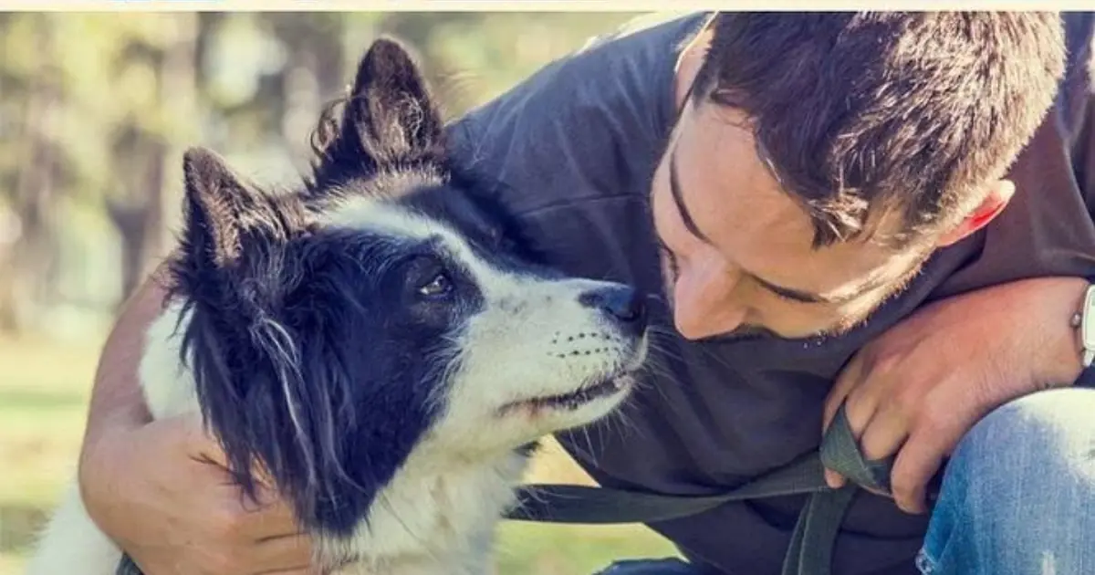 Does Your Dog Sniff Your Private Area? The Real Reason May Surprise You