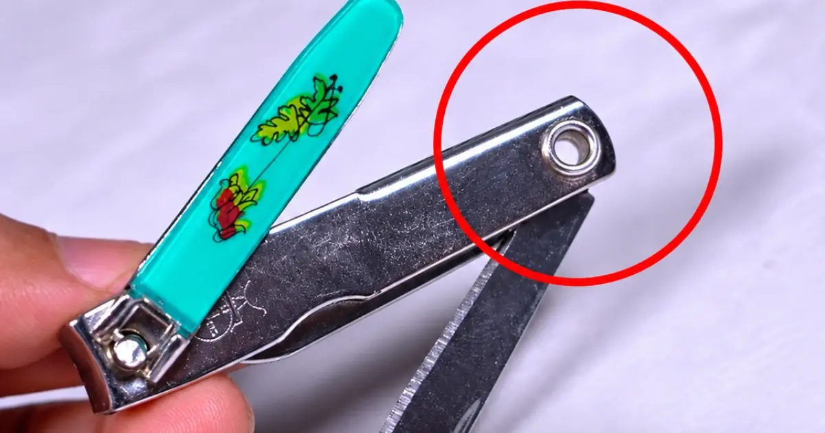 The Hidden Purpose of the Tiny Hole on a Nail Clipper That Most People Never Notice