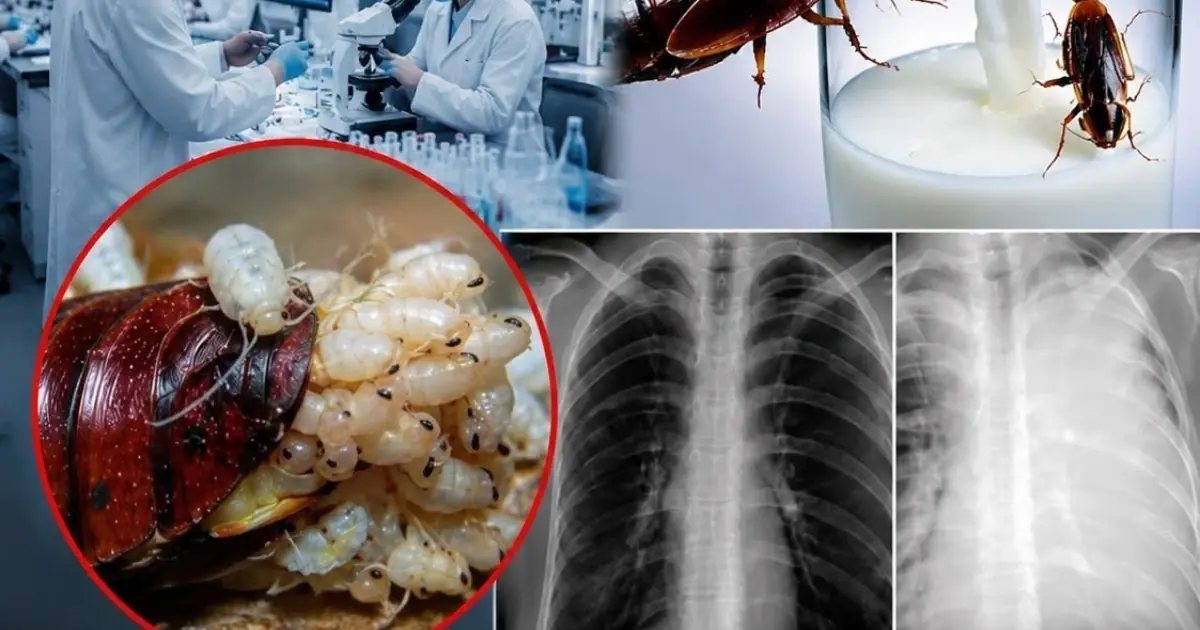Scientists say this unusual "milk" could change the future of nutrition