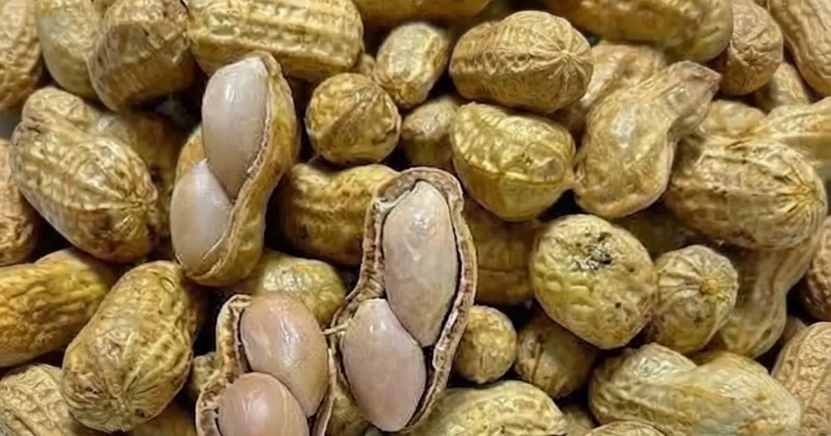 Doctors Reveal What Could Happen When You Eat Peanuts Regularly