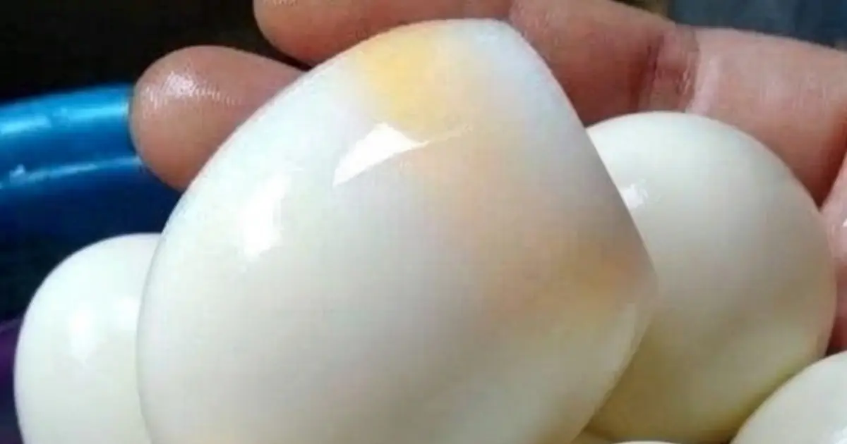 Eating Boiled Eggs in the Morning May Affect Your Body in Unexpected Ways
