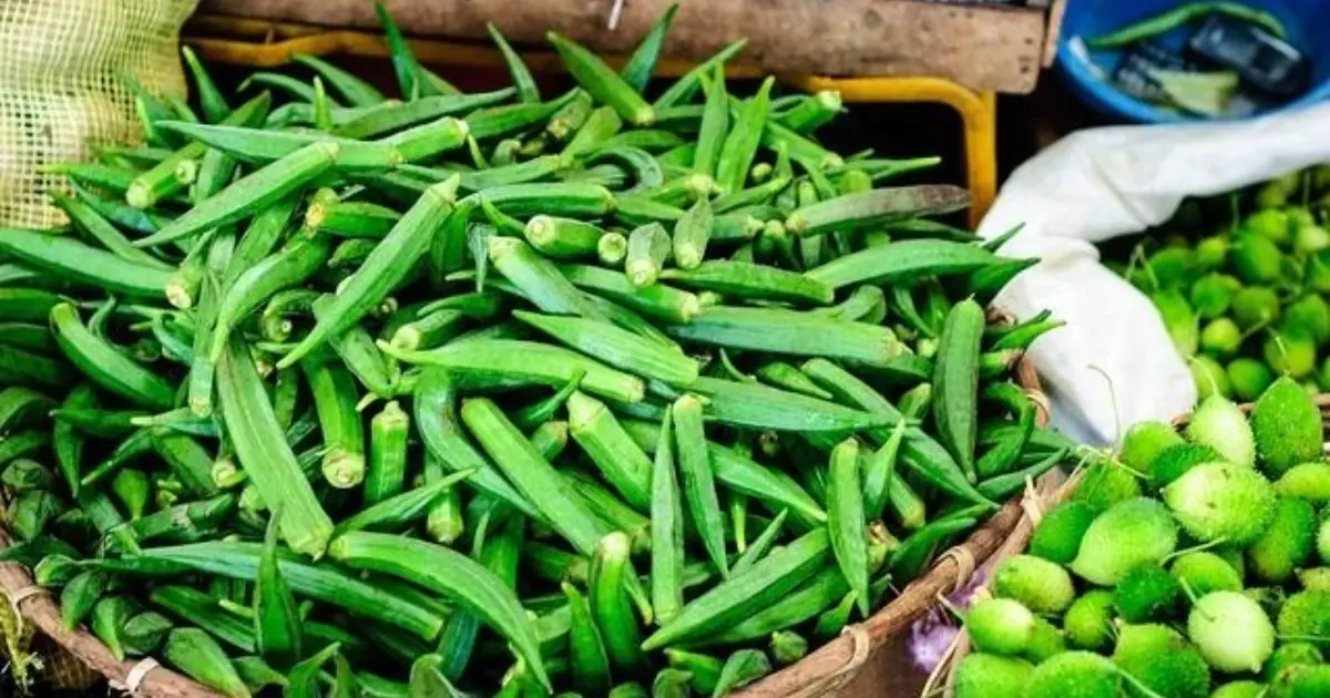 Okra’s Health Benefits Are Well Known—But Is It Right for Everyone?