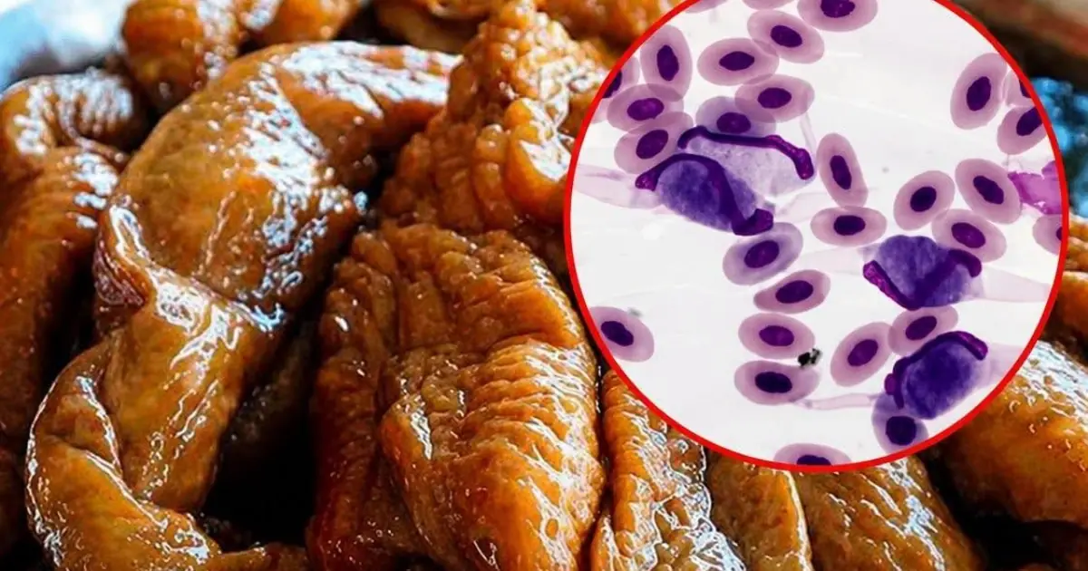 Not every part of a chicken is equally nutritious—here are 4 you may want to limit.