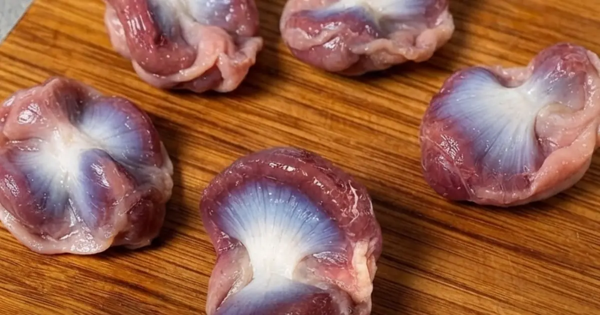 Did You Know Eating Chicken Gizzards May Help Support Your Body in Ways You Didn’t Expect?