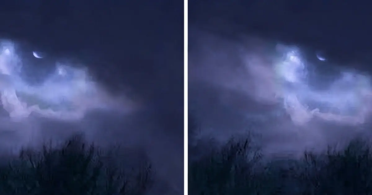 Everyone Looked at the Photo, But Almost Nobody Noticed the Strange Detail Hiding in Plain Sight