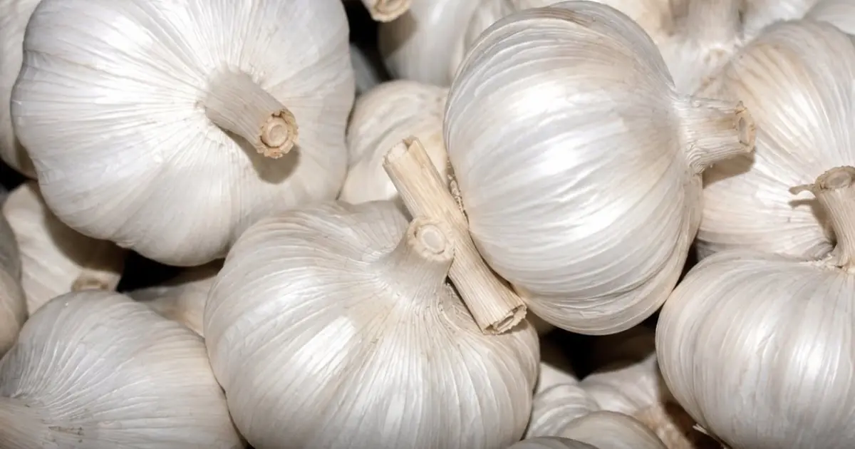These 8 Health Conditions May Require Caution with Garlic