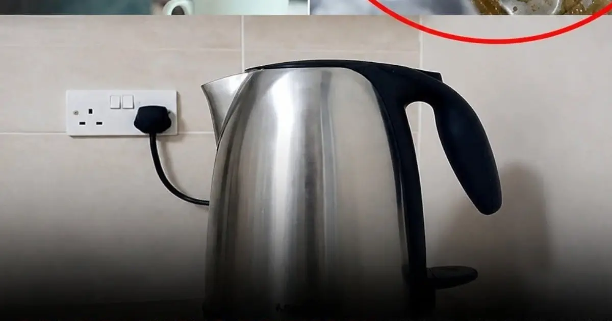 Check Your Kettle Today! These 4 Types May Be Hiding Serious Health Risks.