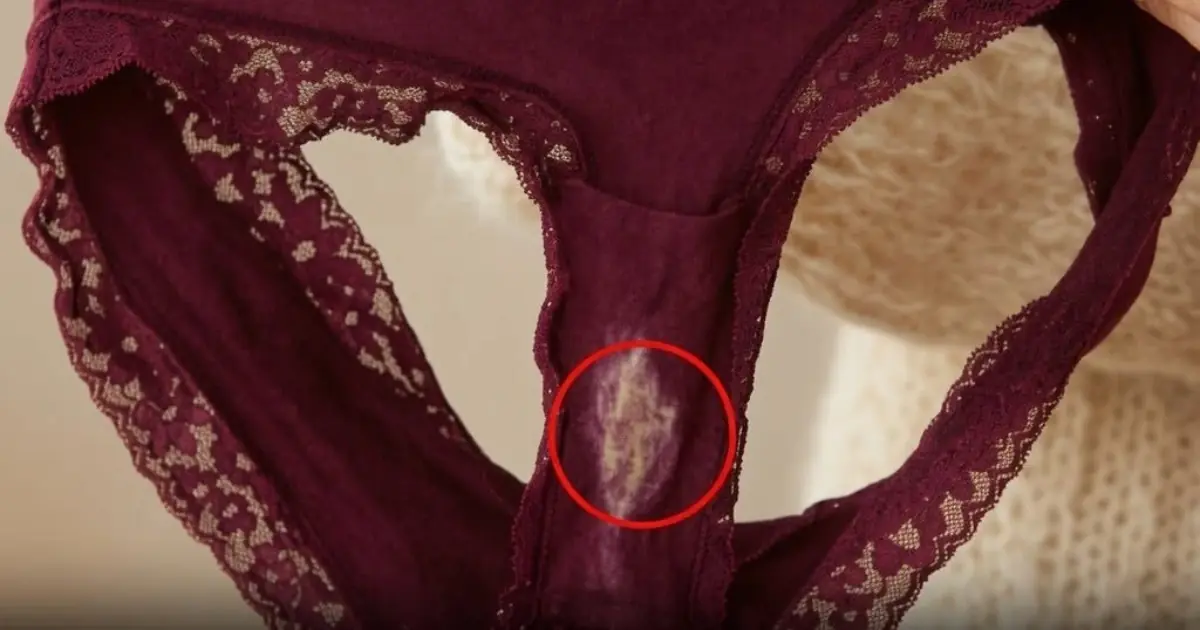 Why Do Some Underwear Develop a “Bleach” Patch? Here’s What It Really Means