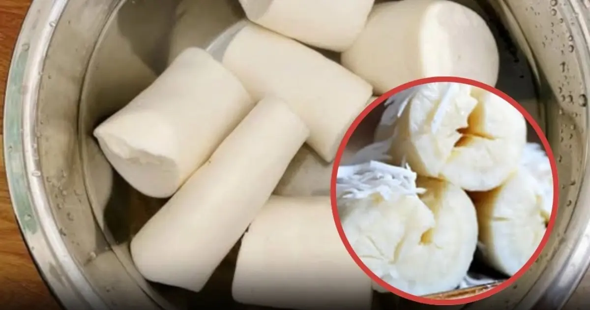 The “World’s Most Dangerous Food”? The Truth Behind Cassava and How to Eat It Safely