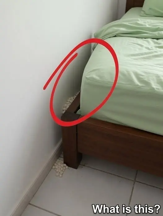 I Came Home and Found These Strange White Balls Near My Bed—What Could They Be?