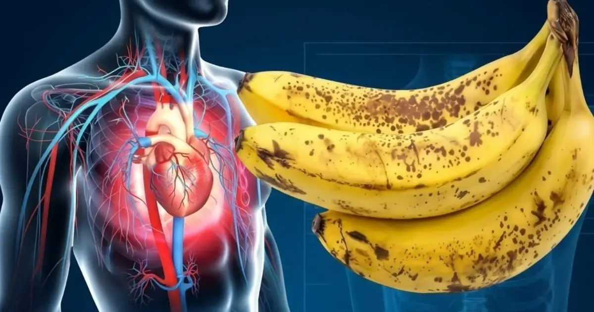 Did you know that eating bananas increases…See more