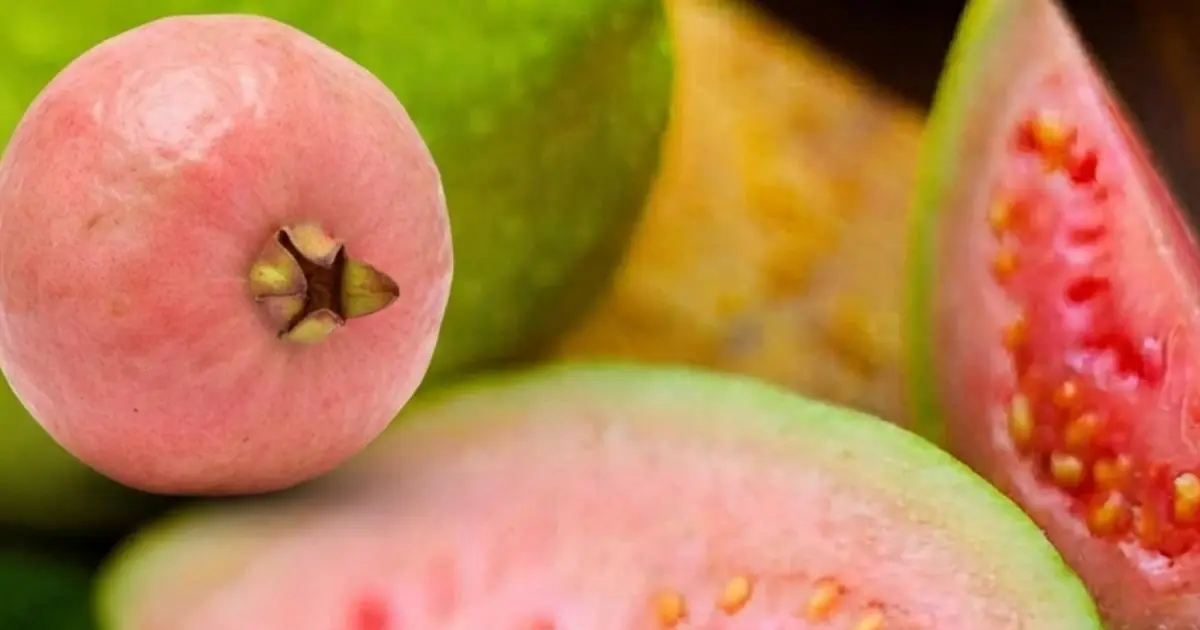 Doctors Reveal: Eating Guava May Affect Your Body in Unexpected Ways
