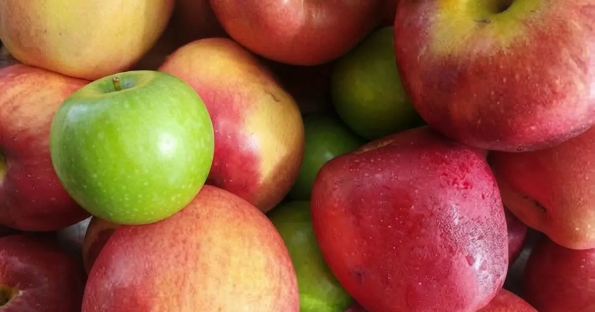 4 Groups of People Who May Need to Be Careful With Apples