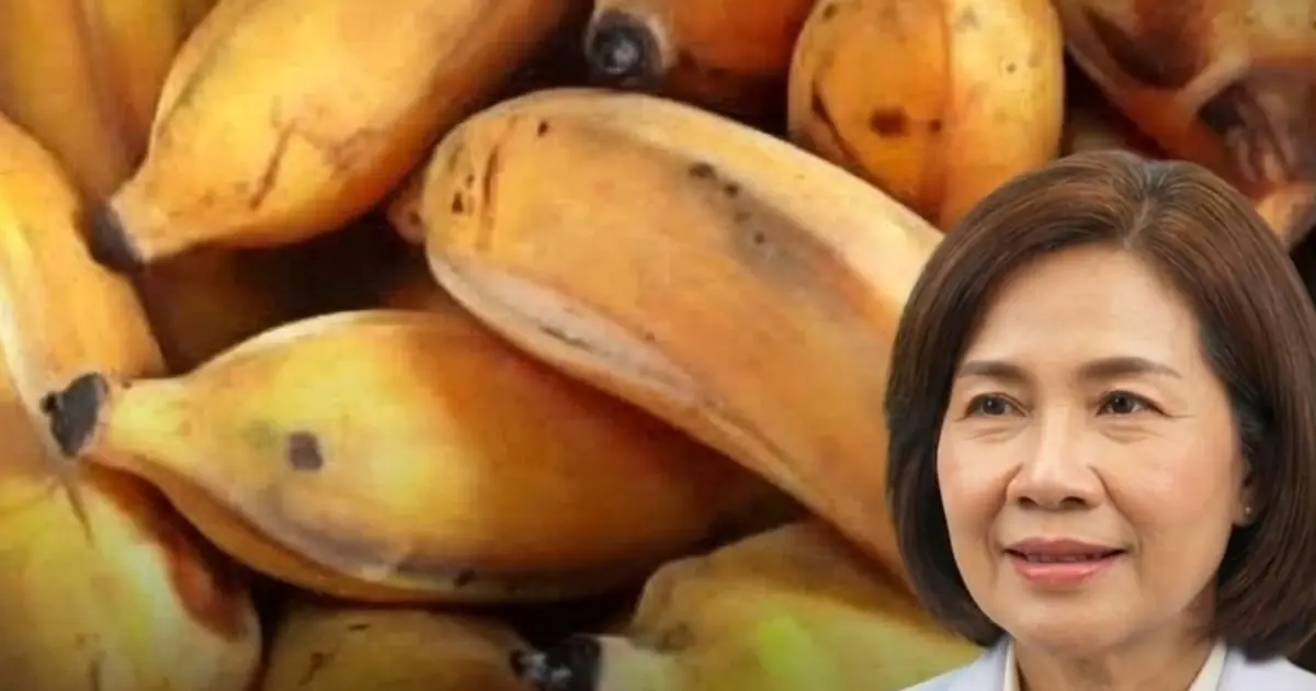Over 60? Before You Eat Another Banana, See What Doctors Say Could Happen