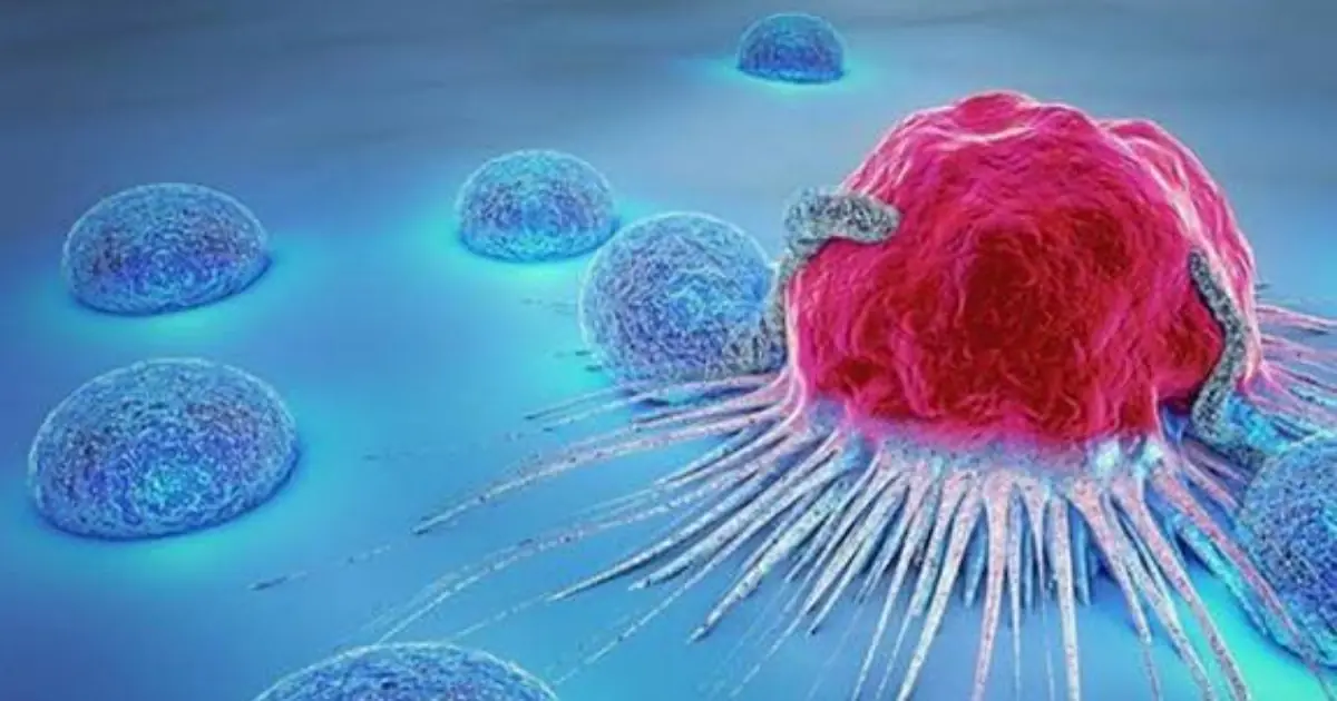 Could Air Pollution Affect Your Brain and Raise Can.cer Risk? What Scientists Are Discovering