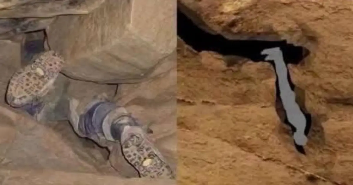 They Found Him Trapped and Rushed to Rescue Him - What Happened Next Was Unforgettable