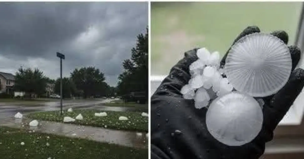 Residents Caught Off Guard as a Powerful Hailstorm Sweeps Through Town