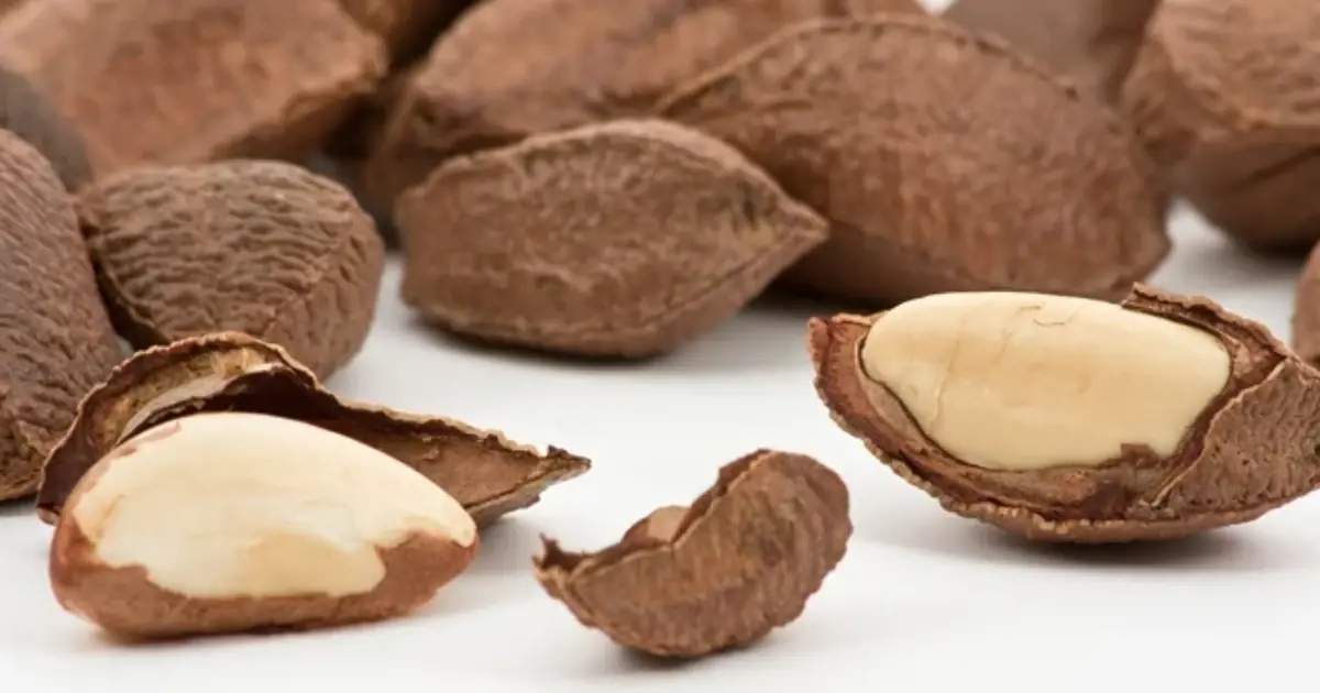 The Old-Fashioned Nut That Connected Generations And Packed a Nutritional Surprise