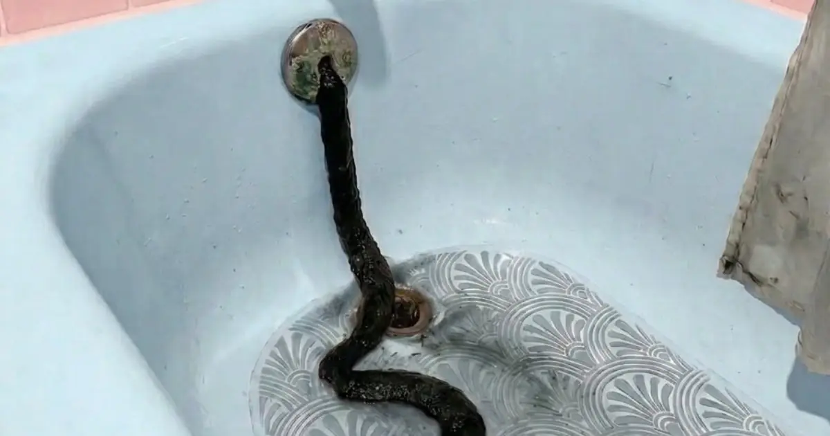 I Returned From Vacation to Find a "Snake" in My Bathtub—The Truth Was Even More Shocking