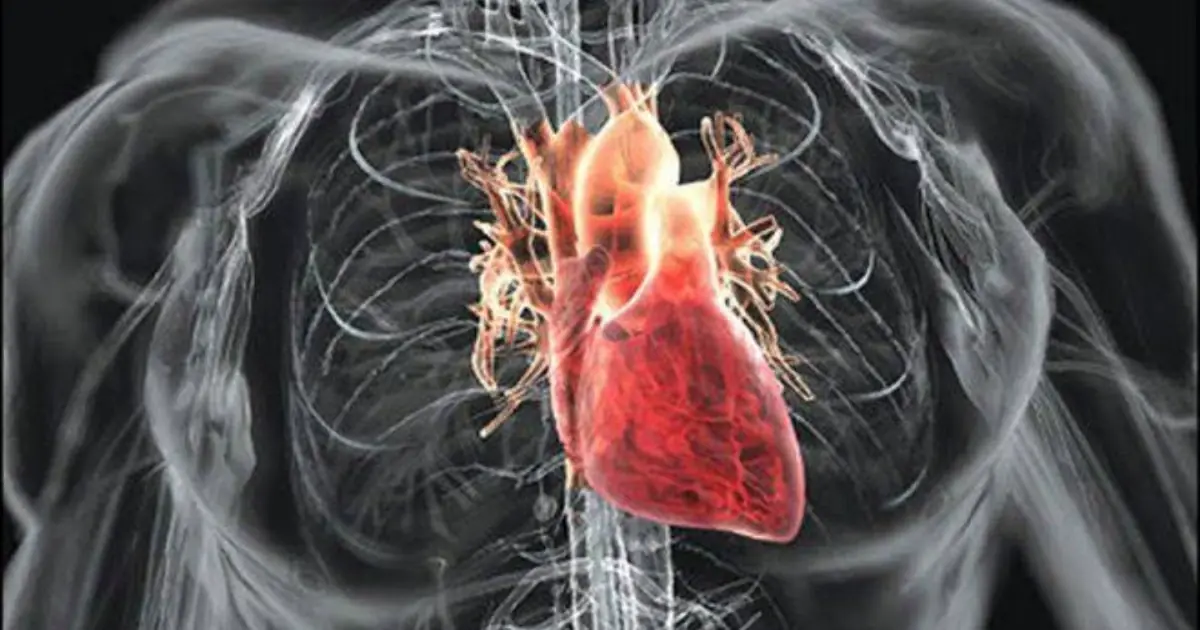 Think You’re Having a Heart Attack at Home? Here’s What to Do Immediately