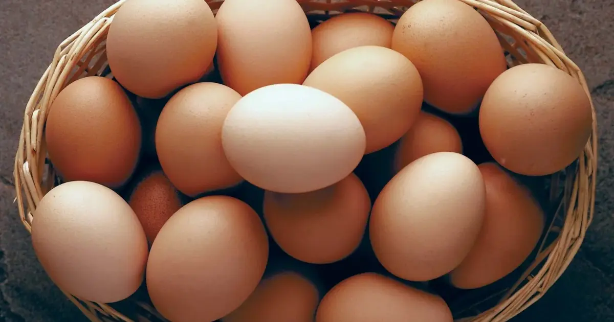 What Happens to Your Brain When You Eat Eggs Regularly? The Answer May Surprise You