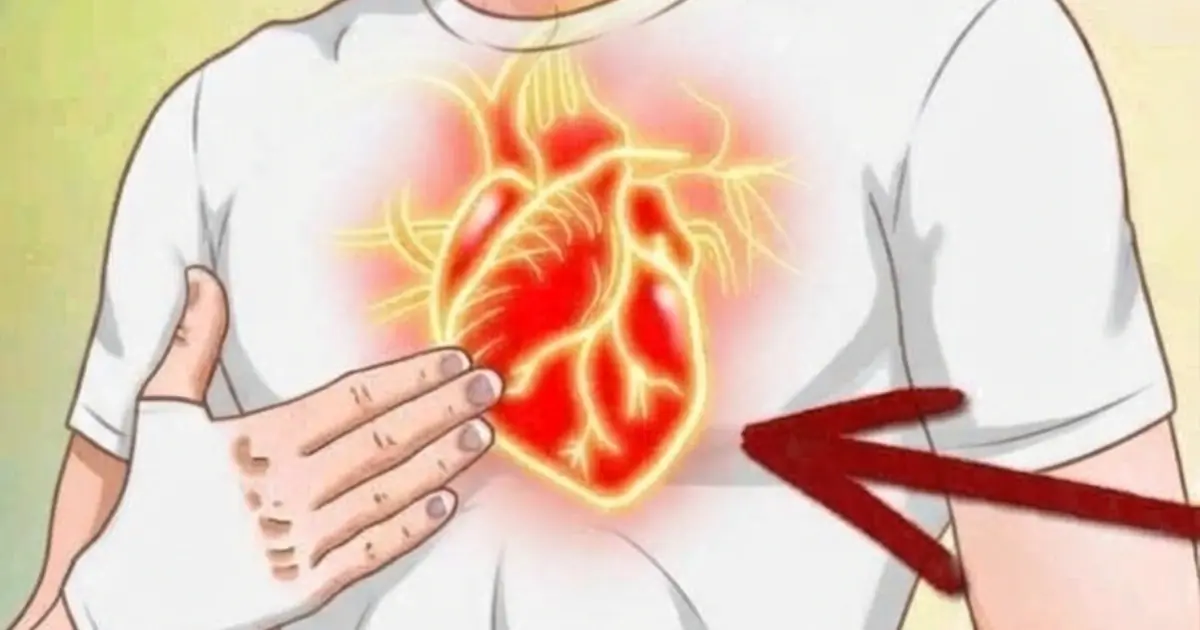 Could These 6 Vitamins Support Your Arteries? Here’s What Research Suggests