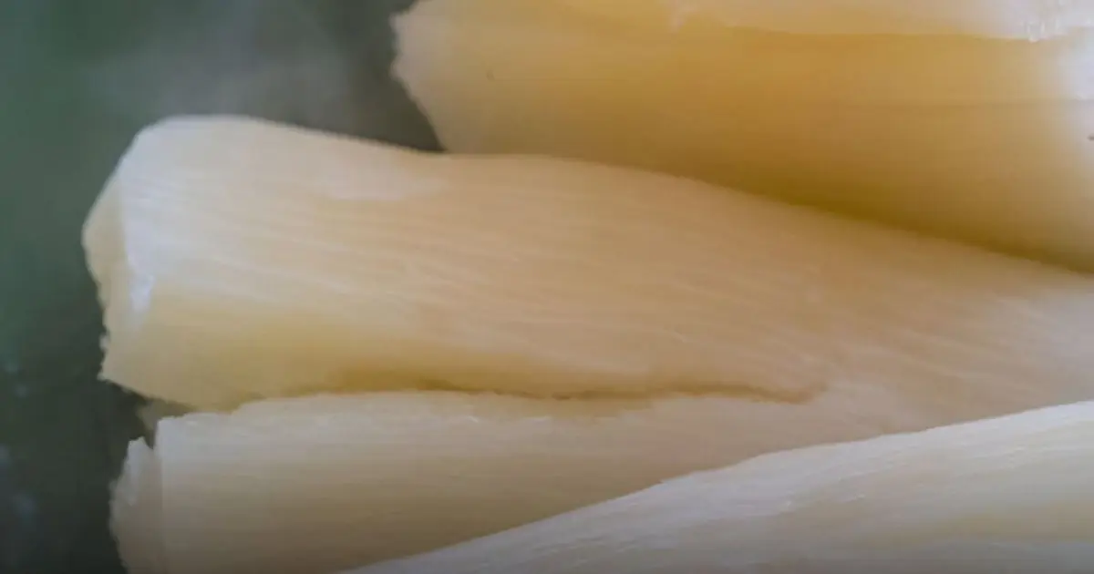The “World’s Deadliest Food”: Why Millions Still Eat Cassava Despite the Risks