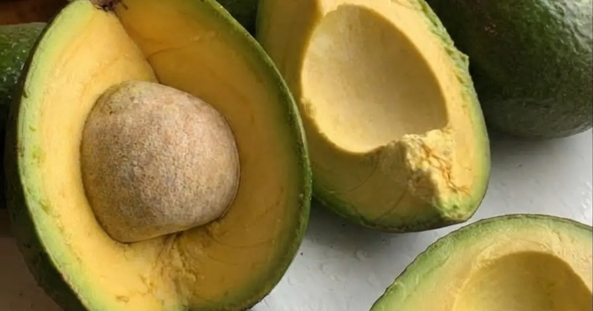 Eating Avocados Every Day? Doctors Say Your Body May Respond in Ways You Don’t Expect…