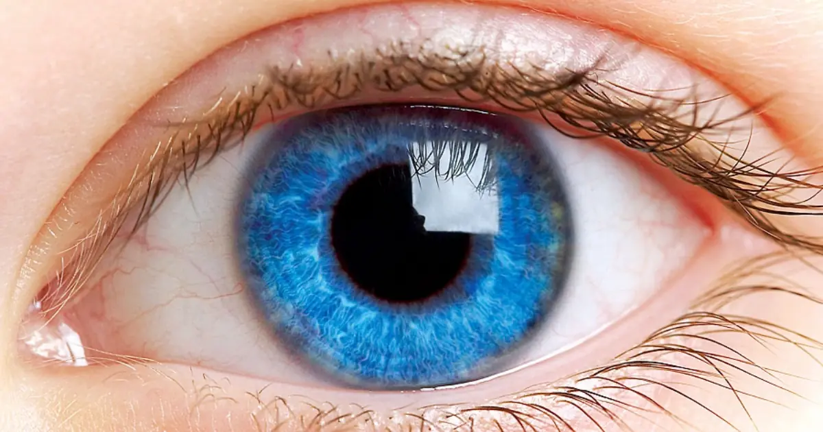 What Do All Blue-Eyed People Have in Common? Scientists May Have the Answer