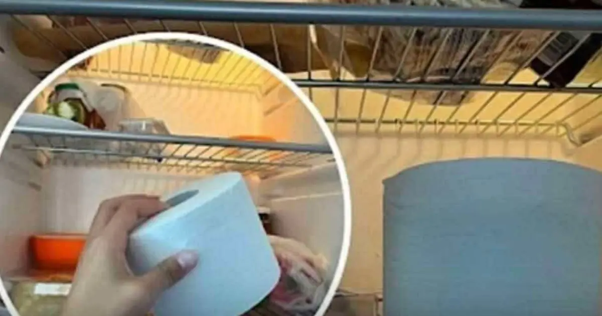 Put a Roll of Toilet Paper in Your Fridge? The Surprising Household Trick Explained