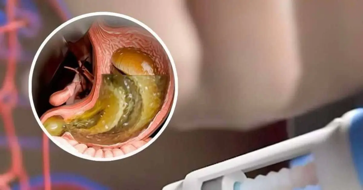 Simulation Reveals What Happens Inside the Body After an Ozempic Injection