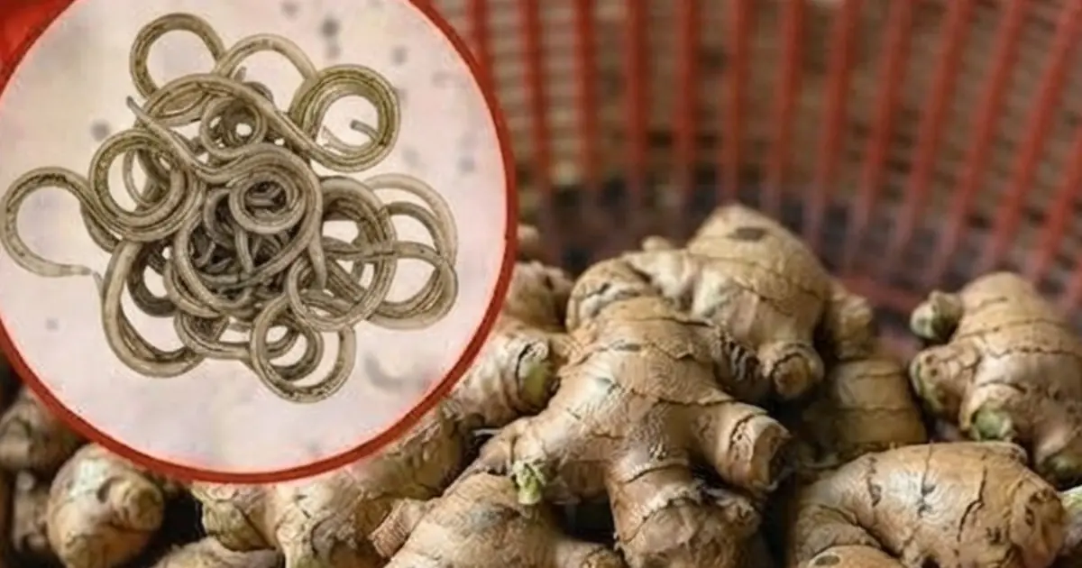 This Common Vegetable May Carry Hidden Parasites — Here’s How Experts Recommend Handling It Safely