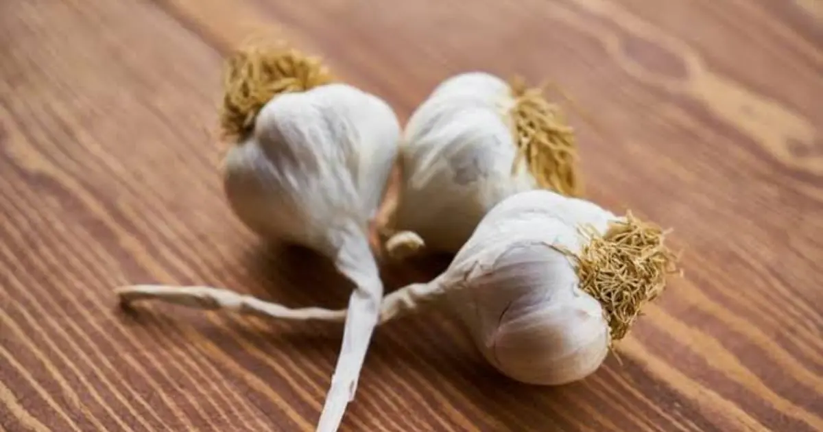 Should You Eat Garlic Before Bed? Here’s What the Evidence Suggests