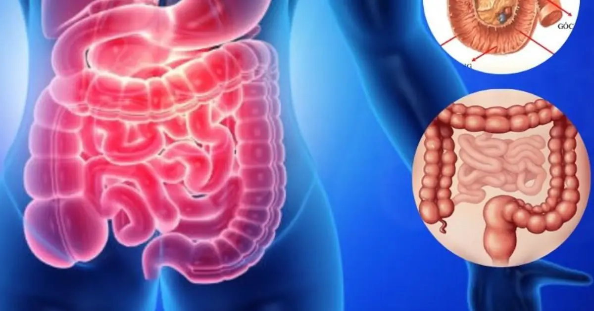 What Your Body May Be Telling You: 6 Signs of a Possible Colon Problem