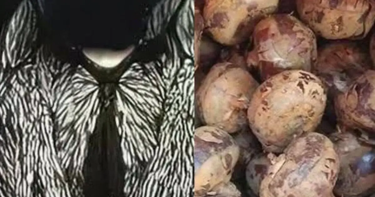 This Common Food Could Harbor Thousands of Parasites - Here’s What to Know...